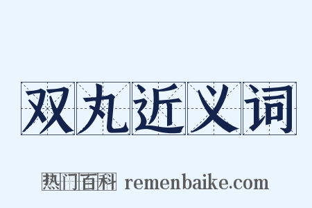 双丸近义词是什么意思的图片